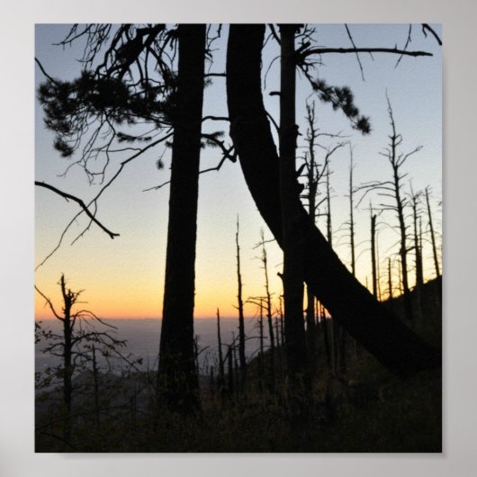 サンダウンシルエット ポスター (正面)