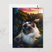 サンダウン葉書でシティガーデンにバーマンキャット ポストカード (正面/裏面)