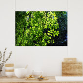 サンダッパード馬のクリ葉ナ ポスター (キッチン)