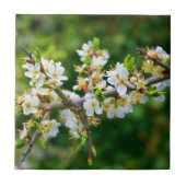 サンダップ春ホーソーン タイル (正面)