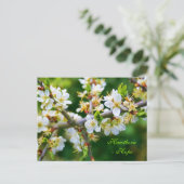 サンダップ春ホーソーン ポストカード (スタンド正面)