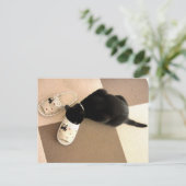 サンダル間抜けに鼻を持つ子猫 ポストカード (スタンド正面)