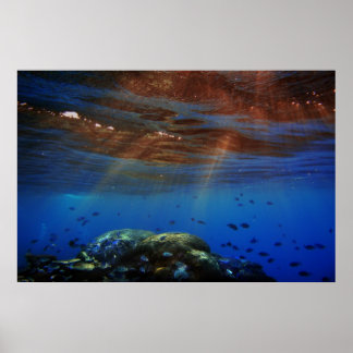 サンダル ポスター