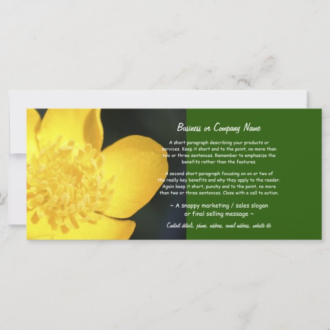 サンダレッチゴールデンバターカップ (正面)