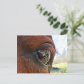 サンダンスの世界葉書 ポストカード (スタンド正面)