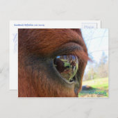 サンダンスの世界葉書 ポストカード (正面/裏面)