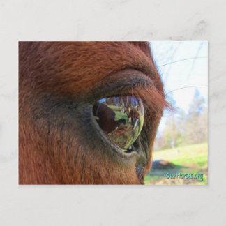 サンダンスの世界葉書 ポストカード