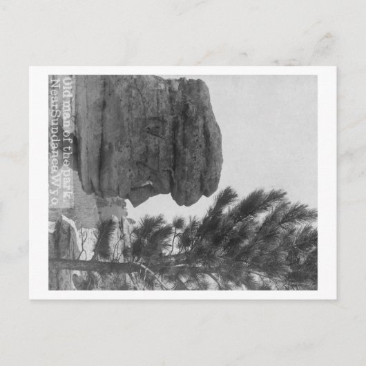 サンダンスの近くの公園の「老人」 ポストカード (正面)