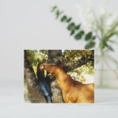 サンダンスウィスパー葉書 ポストカード (スタンド正面)