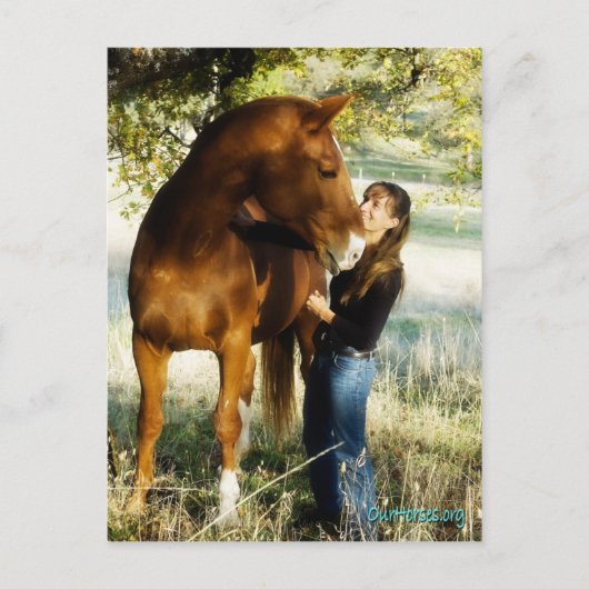 サンダンスストーミー葉書 ポストカード (正面)