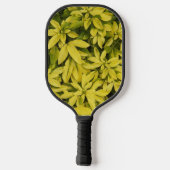 サンダンスメキシカンオレンジプラントフローラ ピックルボールラケット (裏面)