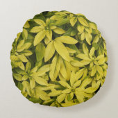 サンダンスメキシカンオレンジプラントフローラ ラウンドクッション (正面)