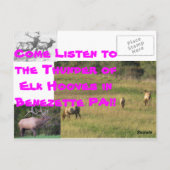 サンダーイングエルクベネゼットパ ポストカード (裏面)