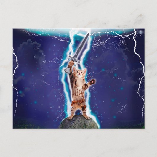 サンダーウォリアー猫 ポストカード (正面)