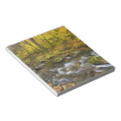 サンダーソンブルック。チェスターブランフォード州フォレスト。 ノートパッド (アングル)