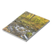 サンダーソンブルック。チェスターブランフォード州フォレスト。 ノートパッド (回転)