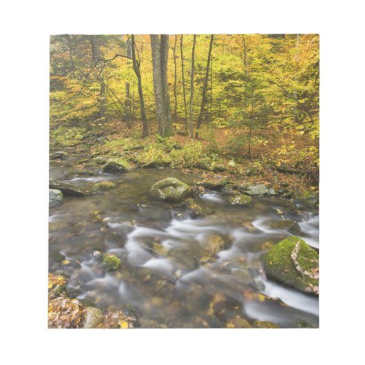 サンダーソンブルック。チェスターブランフォード州フォレスト。 ノートパッド (正面)