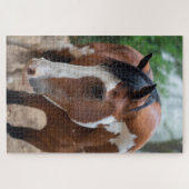 サンダーポーズ ジグソーパズル (横)