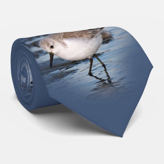 サンダーリングと冬のビーチ ネクタイ (ロール)