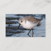 サンダーリングと冬のビーチ 名刺 (正面)