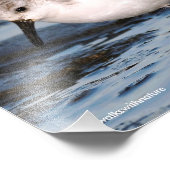 サンダーリングの忙し閉鎖 フォトプリント (角)