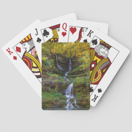 サンダー滝パインタリー トランプ (裏面)