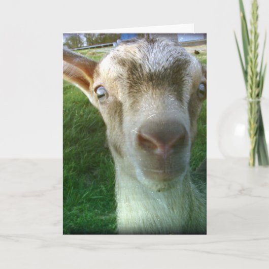 サンダー カード (正面)