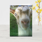 サンダー カード (黄色い花)