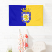 サンチアゴ国旗（チリ） 横断幕 (インサイチュ)