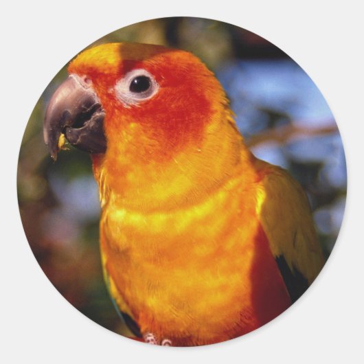 サンチュール ラウンドシール (正面)