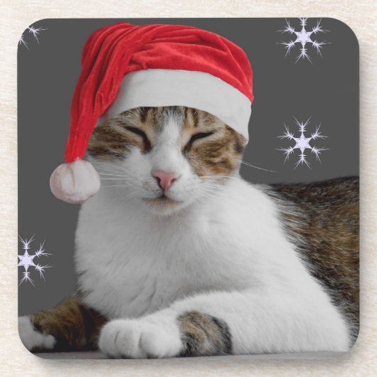 サンツキャットクリスマスコースター コースター (正面)