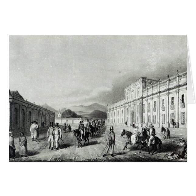 サンティアゴのミント (正面横)