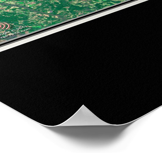 サンティクーパーレイクスサウスカロライナ衛星地図 ポスター (角)