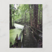 サンティー沿岸保護区 ポストカード (正面)