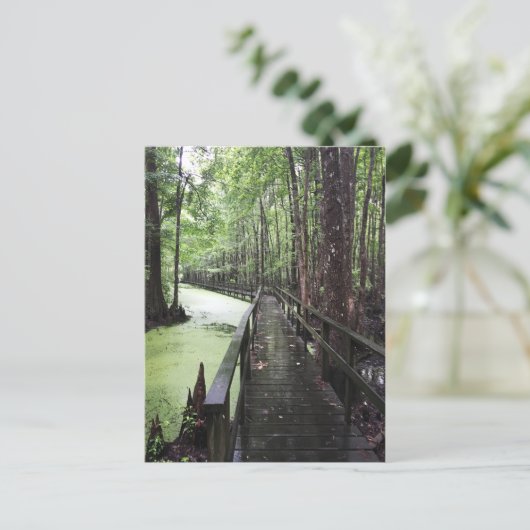 サンティー沿岸保護区 ポストカード (スタンド正面)