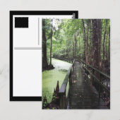 サンティー沿岸保護区 ポストカード (正面/裏面)