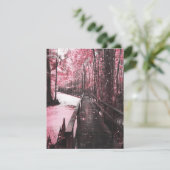 サンティー湿原の夢の風景 招待状 (スタンド正面)