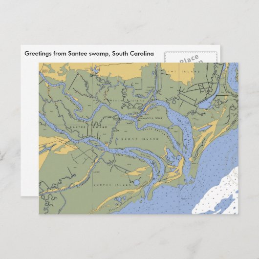 サンティー湿地SCグラフ航海のはがき ポストカード (正面/裏面)