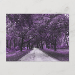 サンティー道路はがき ポストカード