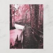 サンティ湿地の夢の風景 ポストカード (正面)