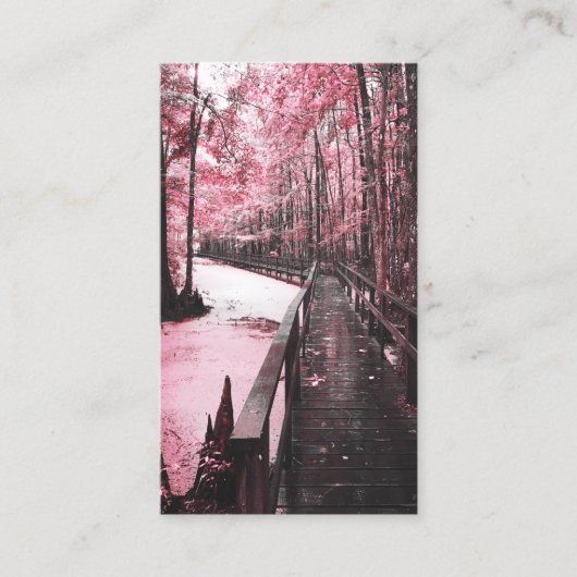 サンティ湿地の夢の風景 名刺 (正面)