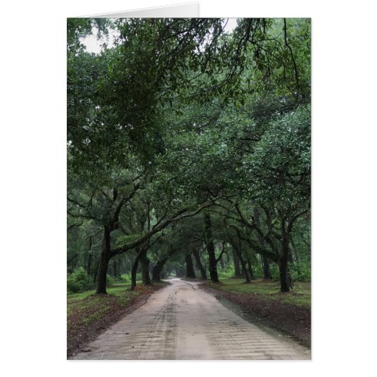 サンティ・ロード (正面)