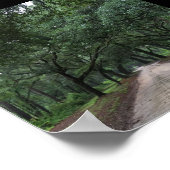 サンティ・ロード ポスター (角)