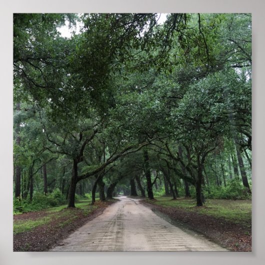 サンティ・ロード ポスター (正面)