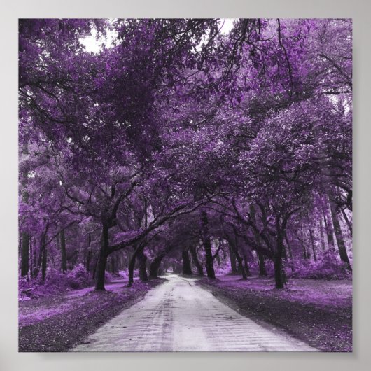 サンティ・ロード・ポスター ポスター (正面)