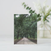 サンティ・ロード ポストカード (スタンド正面)