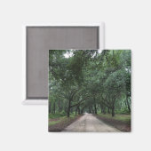 サンティ・ロード マグネット (正面/裏面)