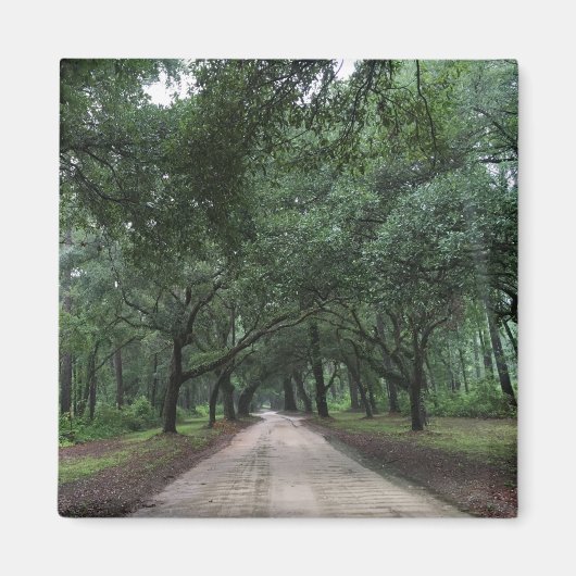 サンティ・ロード マグネット (正面)