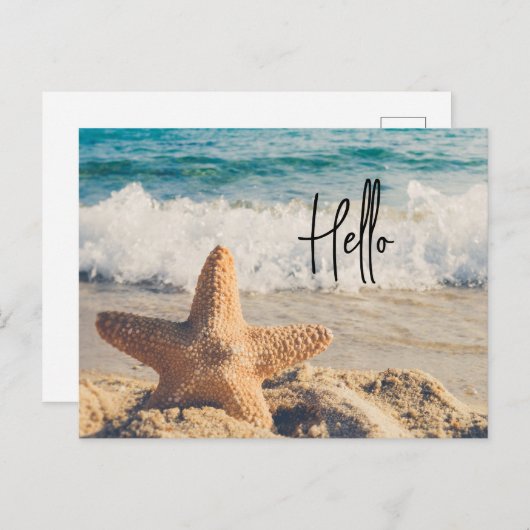 サンディのヒトデのビーチ写真こんにちは シーズンポストカード (正面/裏面)