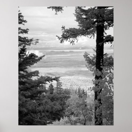 サンディア山脈の頂上から西を見る ポスター (正面)